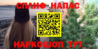стаф Бузулук