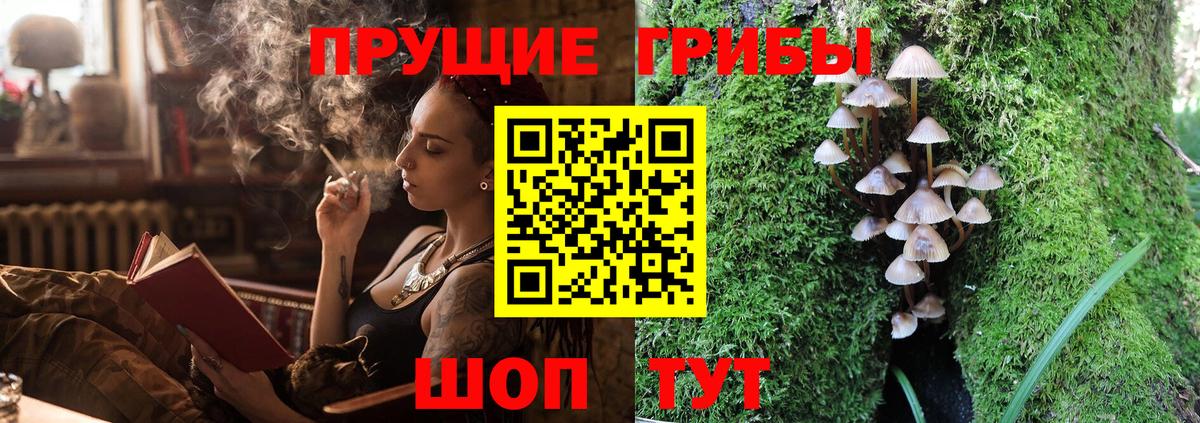 Псилоцибиновые грибы мицелий  Вход с VPN  Галлюциногенные грибы Psilocybine cubensis  Северск 